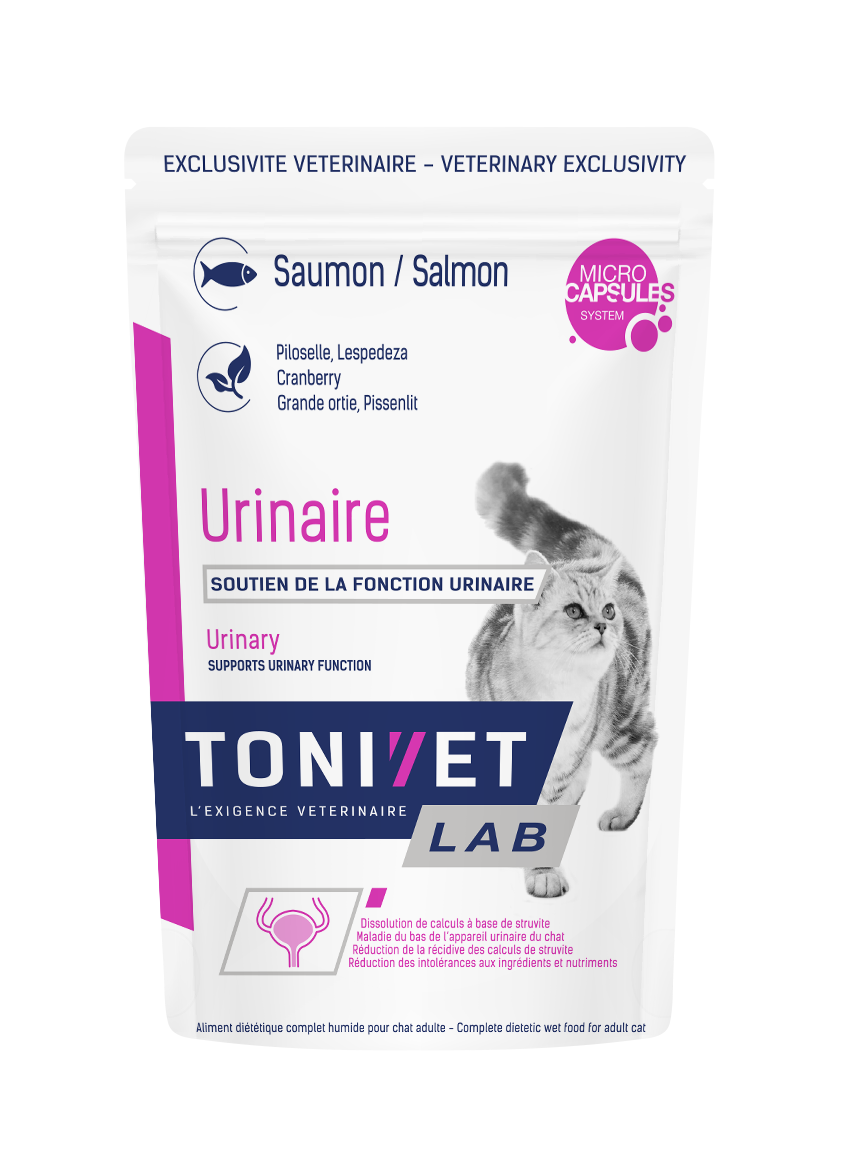 Chat Urinaire Saumon Sachet Repas