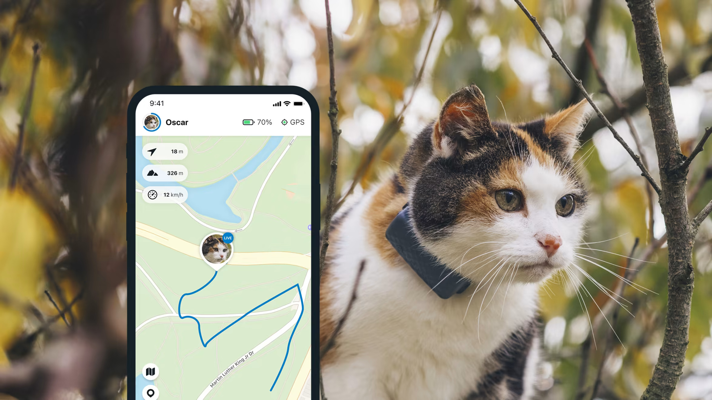 GPS Tractive Cat Mini pour chat - placedesvetos.com