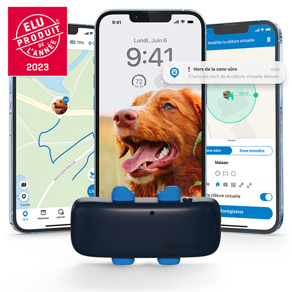 Collier GPS pour chien - Tractive GPS DOG 4 Tractive - Vétorino