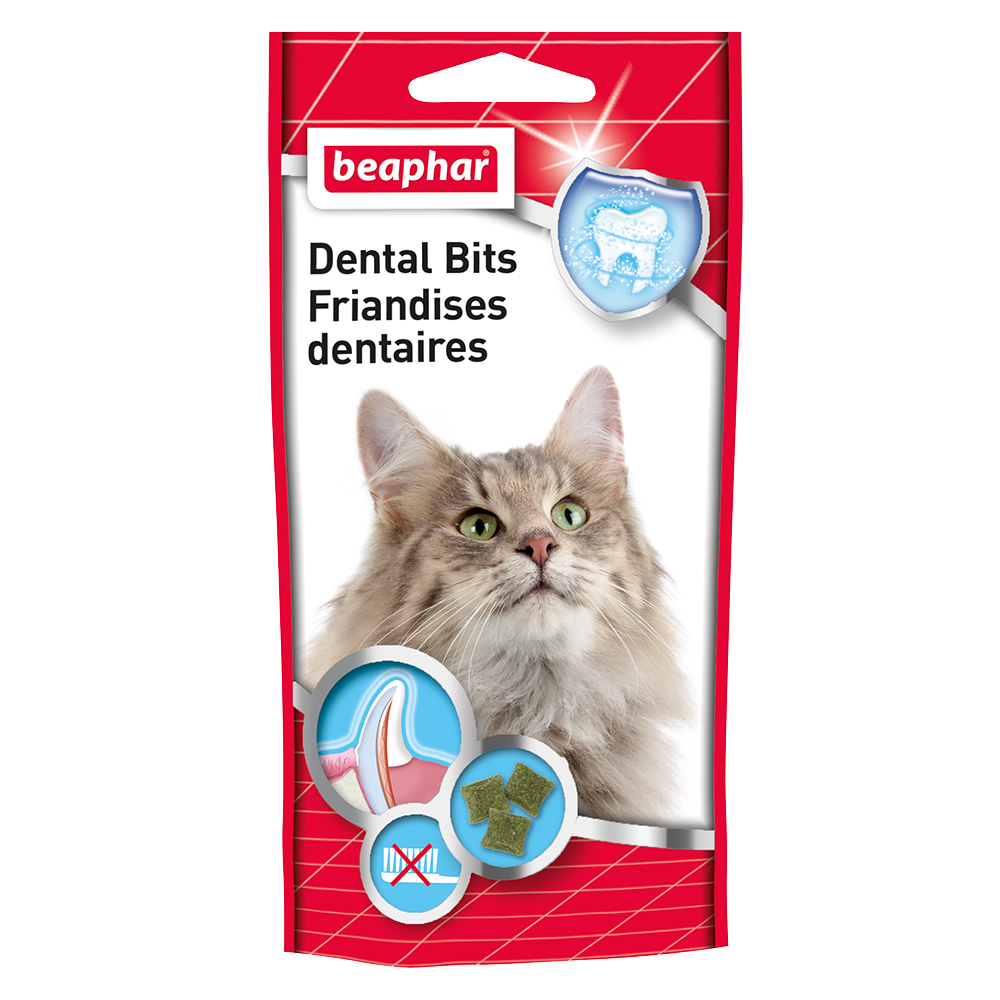 Friandises dentaires chat
