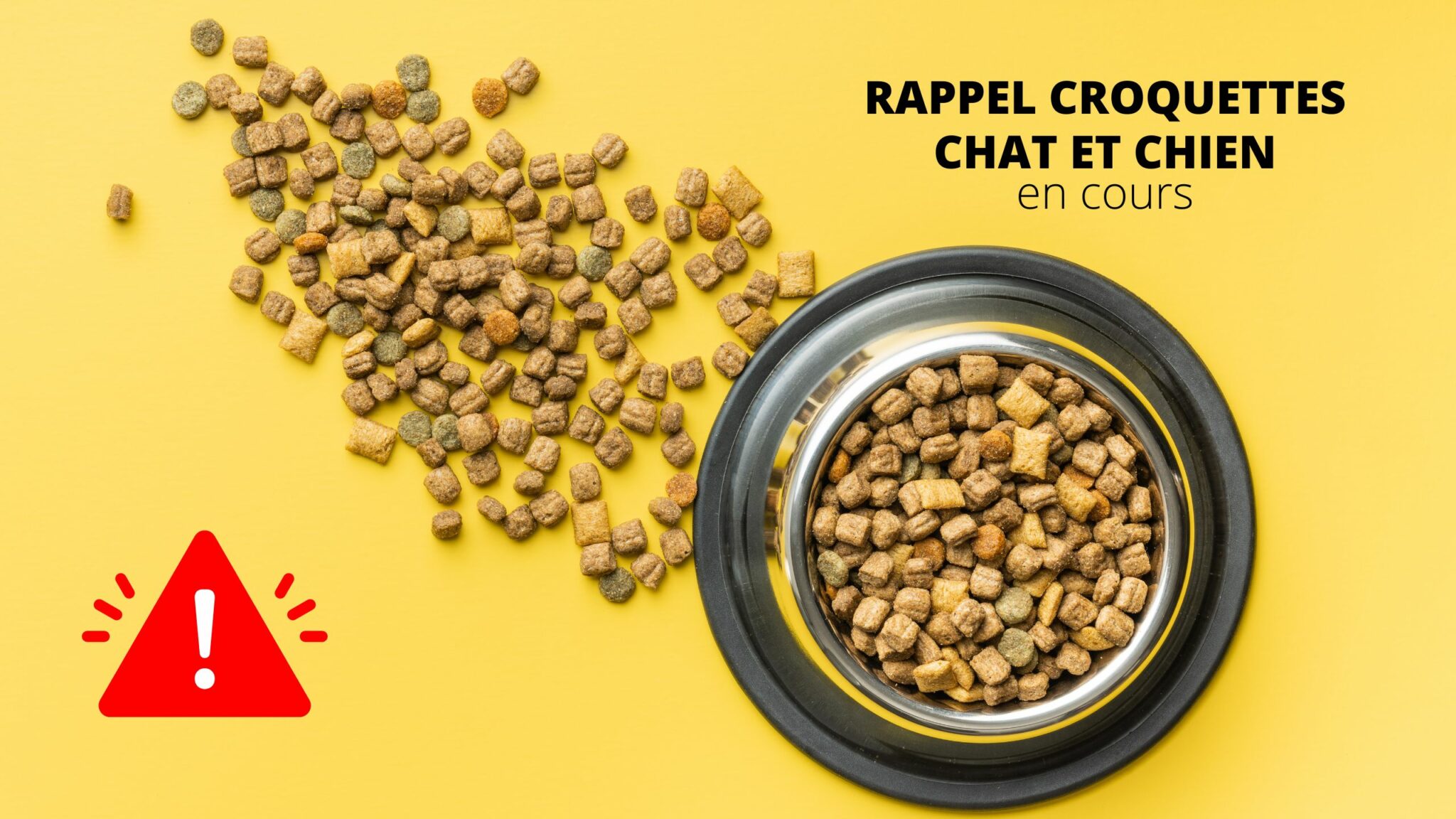 rappel croquettes salmonelle