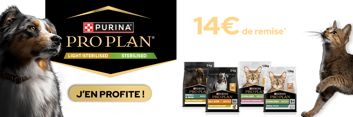 Bannière promotions proplan