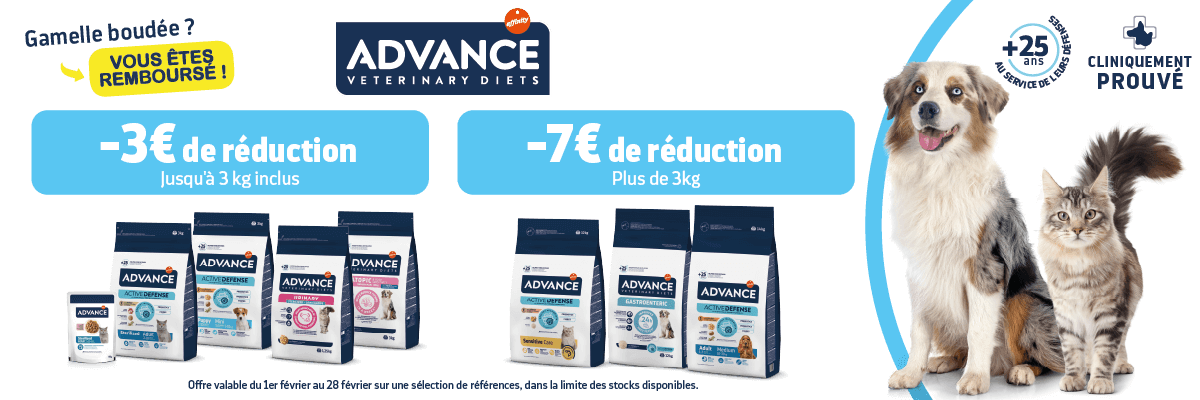 Bannière Adavance vétorino