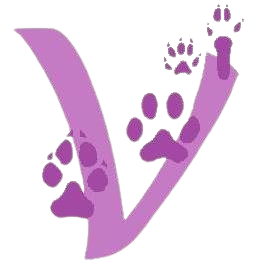 Clinique vétérinaire 4 Pattes Vet