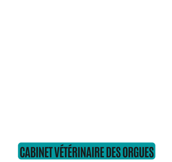 Cabinet vétérinaire Bort les Orgues