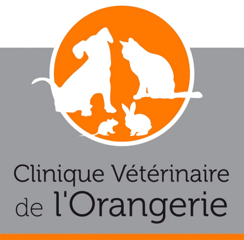 Clinique vétérinaire de l'Orangerie