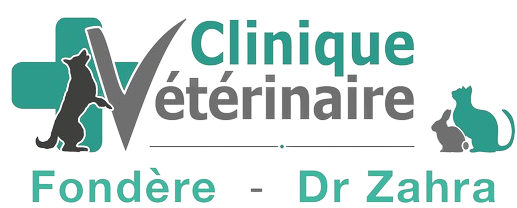 Clinique vétérinaire Fondere