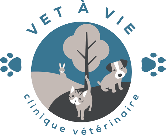 Clinique vétérinaire Vet à Vie