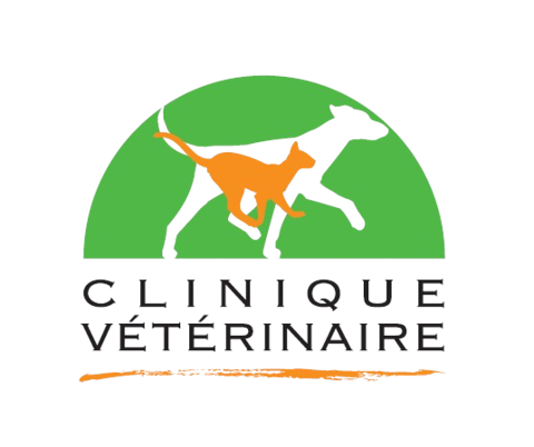 Clinique vétérinaire des Weppes