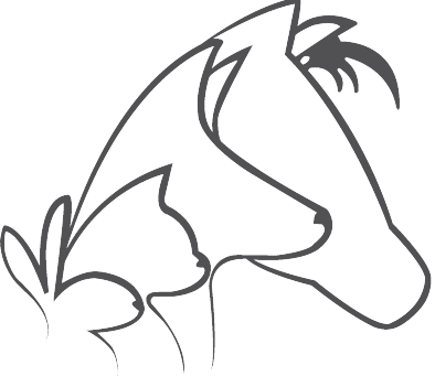 Clinique vétérinaire Saint-Pierre