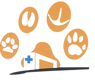 Clinique vétérinaire Lys-Artois