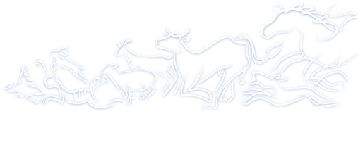 Clinique vétérinaire G5