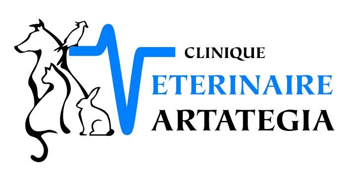 Clinique vétérinaire Artategia