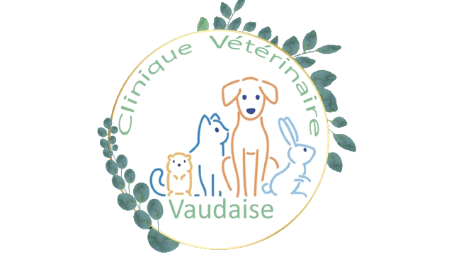 Clinique vétérinaire Vaudaise