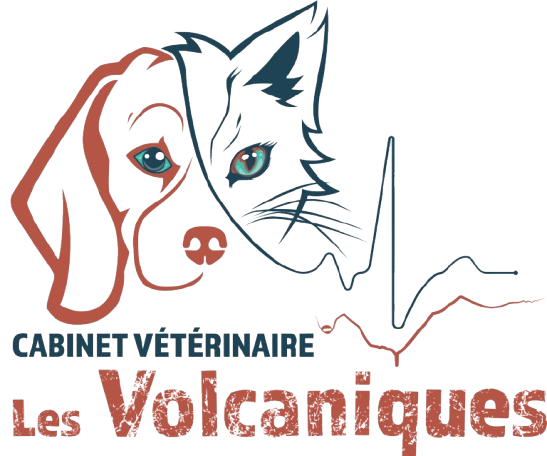Cabinet vétérinaire les Volcaniques