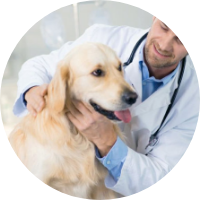 Clinique vétérinaire de la Marche