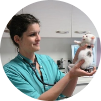 Clinique vétérinaire Herot