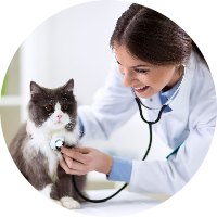 Cabinet vétérinaire de la pointe