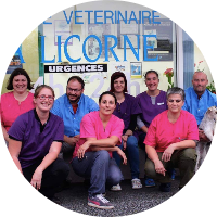 Clinique vétérinaire La licorne