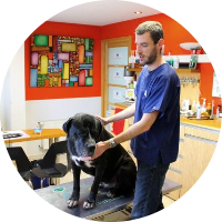 Clinique vétérinaire des Ardoisières