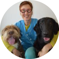 Clinique vétérinaire Aliénor