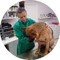 Clinique vétérinaire du Docteur Alain Dewulf