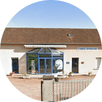 Clinique vétérinaire du Dr Touresse