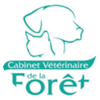Cabinet vétérinaire de la forêt