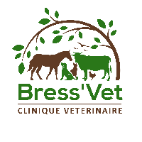 Clinique vétérinaire Bress'Vet