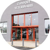Clinique vétérinaire VDVet