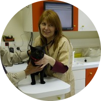 Clinique vétérinaire pour chats