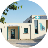 Clinique vétérinaire  Saint Gilles
