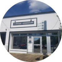 Clinique vétérinaire Joffre