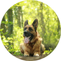 Cabinet vétérinaire des 7 Lieues