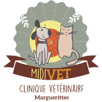 Clinique vétérinaire MidiVet