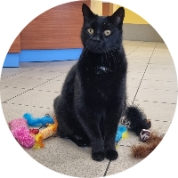 Clinique vétérinaire de l'Albarine