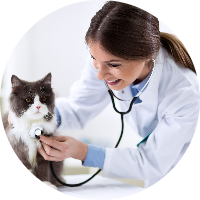 Clinique vétérinaire Dr Cathelain