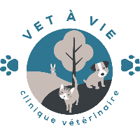 Clinique vétérinaire Vet à Vie