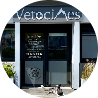 Clinique vétérinaire Vetocimes