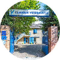 Clinique vétérinaire Vet Animal