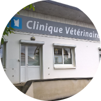 Cabinet vétérinaire de la Risle (Brionne)