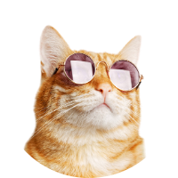 Clinique vétérinaire du Stade