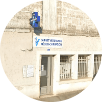 Cabinet vétérinaire Dr. Montulet