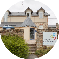 Clinique vétérinaire Ar Gwilen