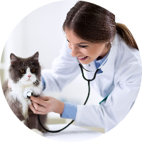 Clinique vétérinaire du Cours