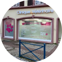Clinique vétérinaire My Sweet Vet
