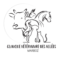 Clinique vétérinaire des Allées