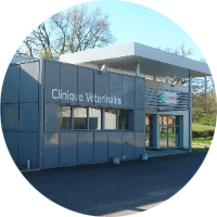Clinique vétérinaire CapVéto Confolens