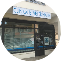 Clinique vétérinaire Saint Gallen