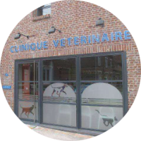 Clinique vétérinaire des Weppes
